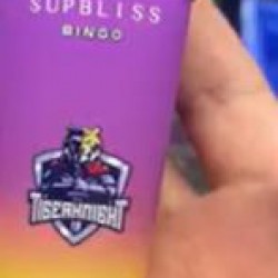 supbliss bingo 8000 flavours